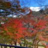 紅葉と滝の風景