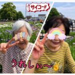 二班も曽根城公園の花菖蒲を見に行ってきましたぁ～!(^^)!
